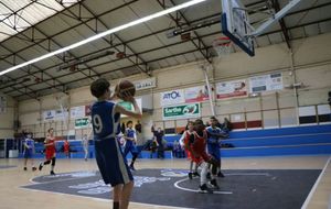 5bfdadefdf98e_IMG0169c.jpg
