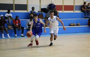 5d8a9a3fd3331_IMG9290c.jpg
